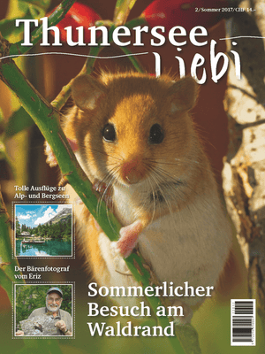 Thunersee Liebi 2/17 - A WEBER VERLAG