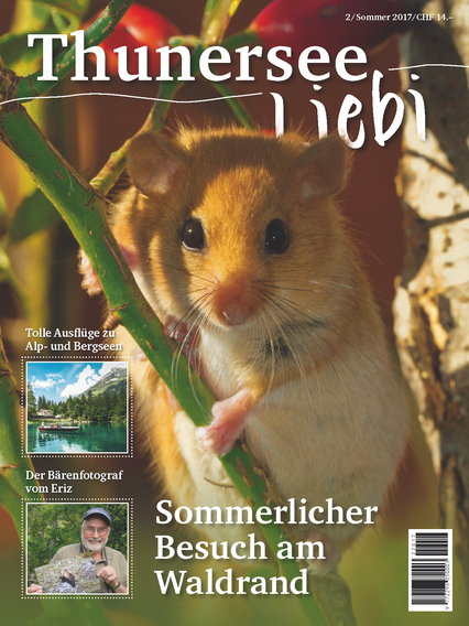 Thunersee Liebi 2/17 - A WEBER VERLAG