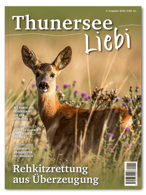 Thunersee Liebi 2/21 - A WEBER VERLAG