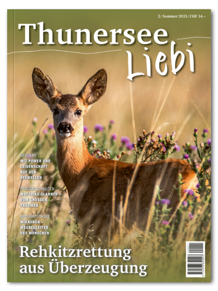 Thunersee Liebi 2/21 - A WEBER VERLAG