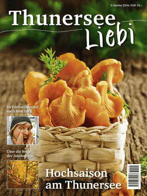 Thunersee Liebi 3/16 - A WEBER VERLAG