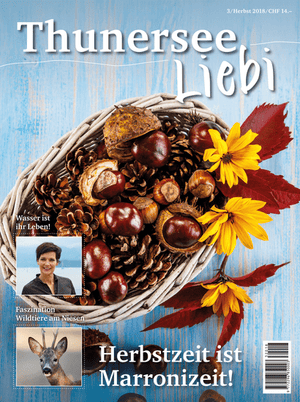 Thunersee Liebi 3/18 - A WEBER VERLAG