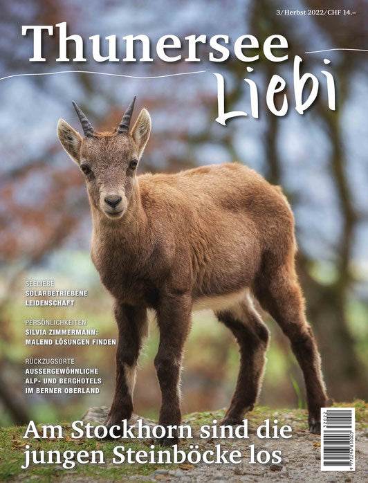 Thunersee Liebi 3/22 - A WEBER VERLAG