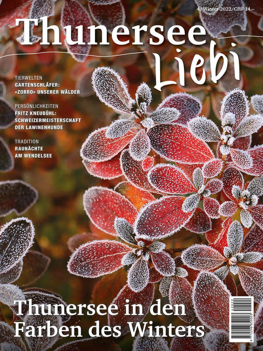 Thunersee Liebi 4/22 - A WEBER VERLAG