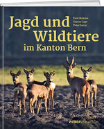 Fred Bohren / Simon Capt / Peter Juesy: Jagd und Wildtiere im Kanton Bern - WEBER VERLAG