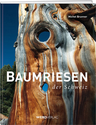 Michel Brunner: Baumriesen der Schweiz - WEBER VERLAG