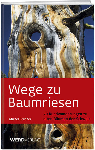 Michel Brunner: Wege zu Baumriesen - WEBER VERLAG
